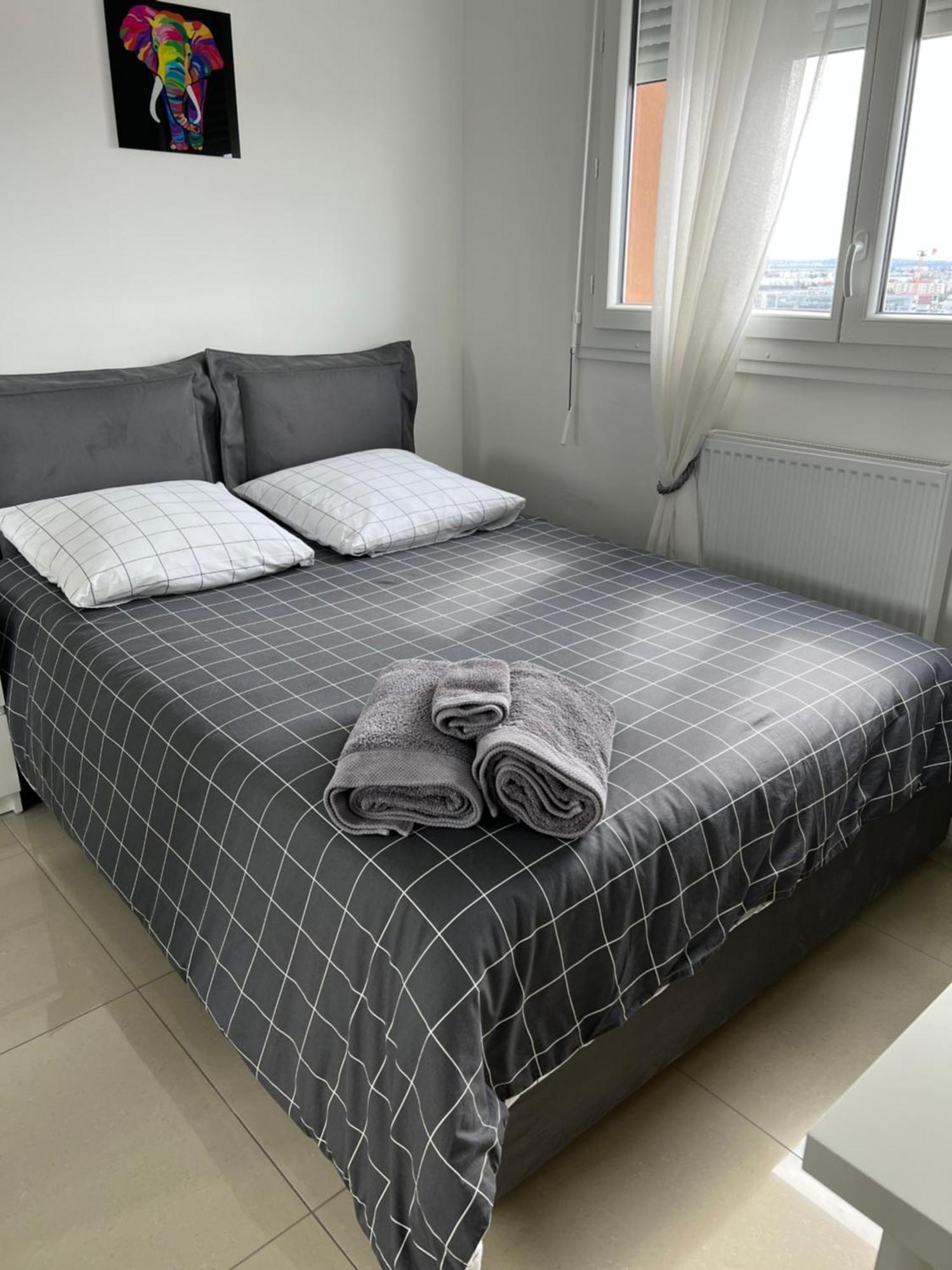 Super 4 Pieces Refait A Neuf Apartment Villeurbanne Exterior foto